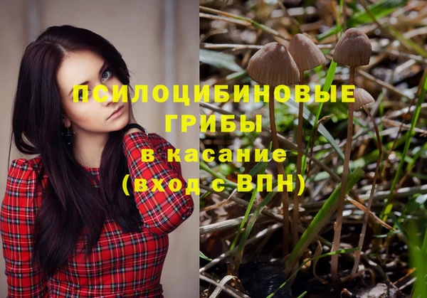 альфа пвп Нягань