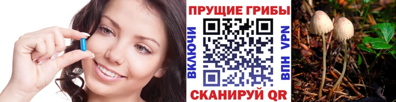 Галлюциногенные грибы прущие грибы купить цена Инза