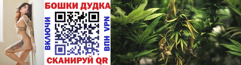 Конопля конопля  ссылка на мегу зеркало  Инза 